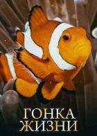 Гонка жизни
