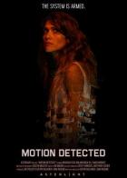 Motion Detected