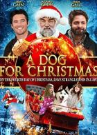 A Dog for Christmas