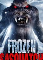 Frozen Sasquatch