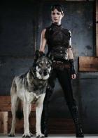 Риз: Падение королевства