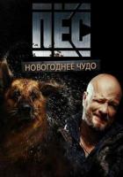 Пёс. Новогоднее чудо