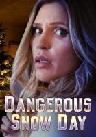 Dangerous Snow Day