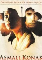 Особняк с виноградными лозами