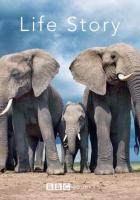 История жизни