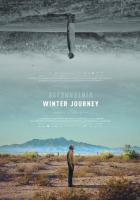 Зимний путь