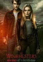 Винчестеры