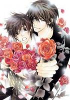 Лучшая в мире первая любовь