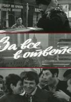 За все в ответе