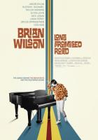 Brian Wilson: Long Promised Road