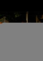 The Extinction of Fireflies