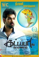 В поисках золотой рыбки