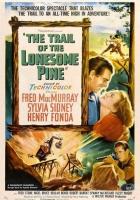 Тропинка одинокой сосны