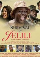 Survival of Jelili