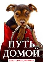 Путь домой