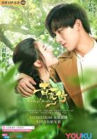 Чудо-целитель