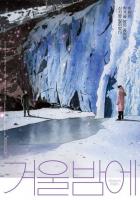 Зимней ночью