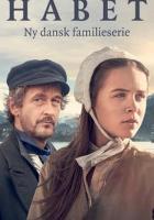 В поисках дома