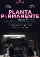 Planta permanente