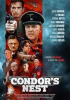 Гнездо кондора