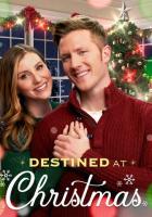 Destined at Christmas