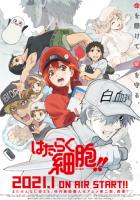 Клетки за работой!