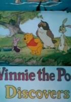 Винни Пух открывает времена года