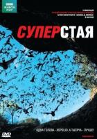 BBC: Суперстая