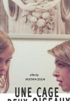 Une cage deux oiseaux