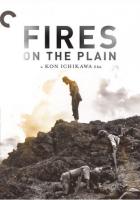 Полевые огни