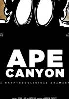 Ape Canyon