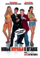 Новые муравьи в штанах