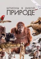 Шпионы в дикой природе