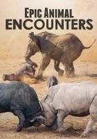 Epic Animal Encounters