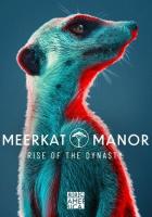 Meerkat Manor: Rise of the Dynasty