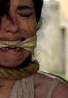 Убийства на острове Бель-Иль