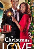 A Christmas Love