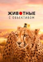 Животные с объективом
