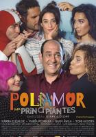 Poliamor para principiantes