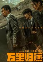 Возвращение домой