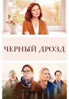 Чёрный дрозд