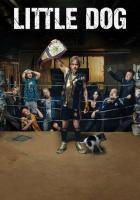 Маленькая собака