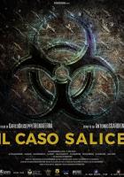Il caso Salice