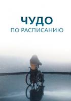 Чудо по расписанию