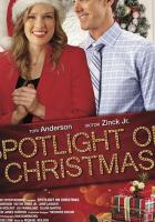 Spotlight on Christmas
