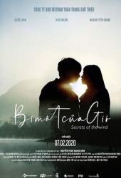 Тайны ветра