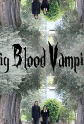 Pig Blood Vampire