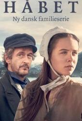 В поисках дома