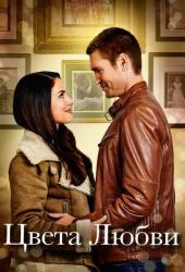 Цвета любви