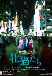 Кошачий рассвет